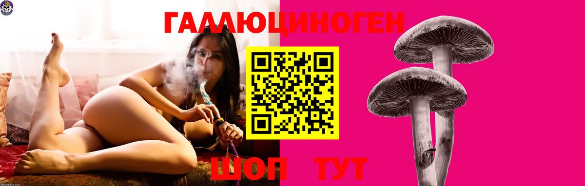 Галлюциногенные грибы Psilocybe Златоуст
